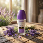 رول ضدتعریق وودلایک مدل اسطوخودوس Lavender حجم 75 میلیلیتر